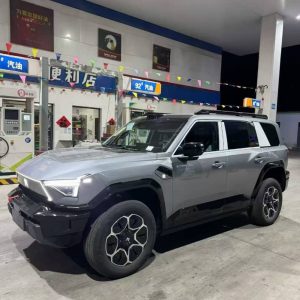 26 year old brand new dongfeng mensti m817 max